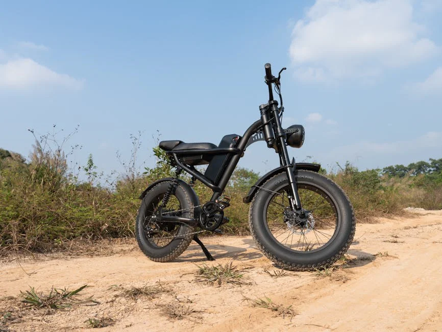 48V Lithium Ion Battery for Electric Bike Buyer's Guide