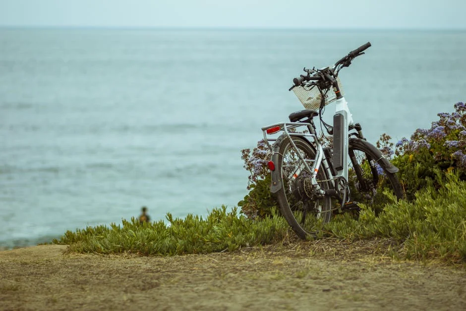heybike hauler