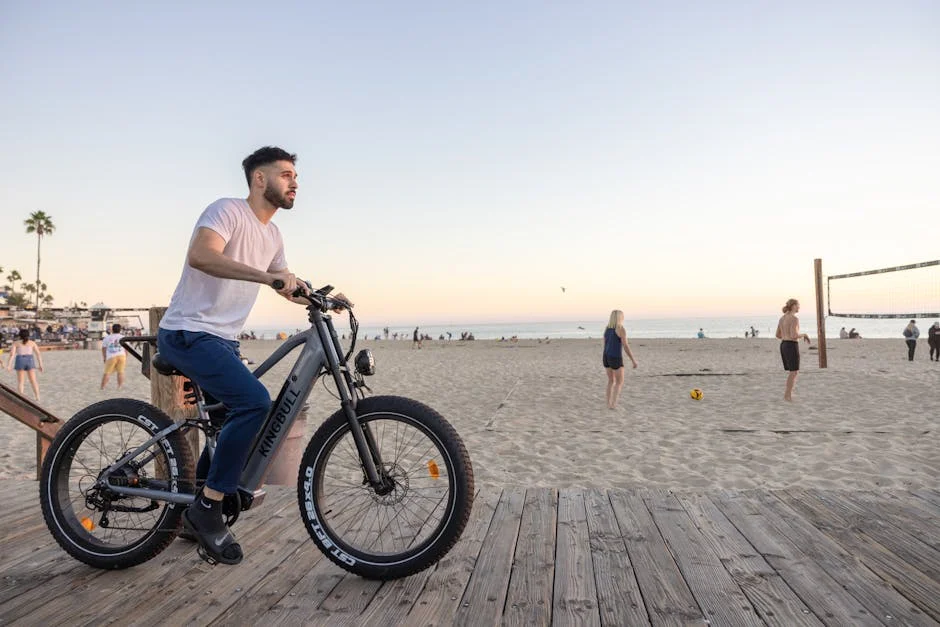 wired cruiser ebike