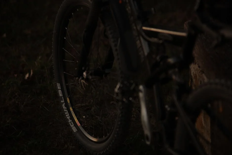 Three-Wheel Electric Bikes Reviewed: Top Picks for Every Rider